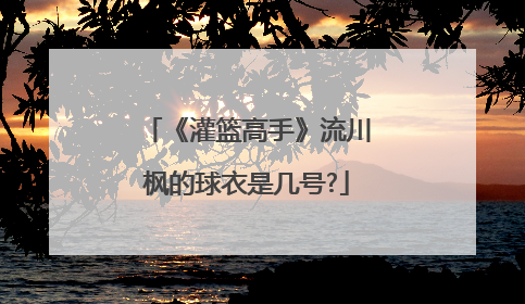 《灌篮高手》流川枫的球衣是几号?