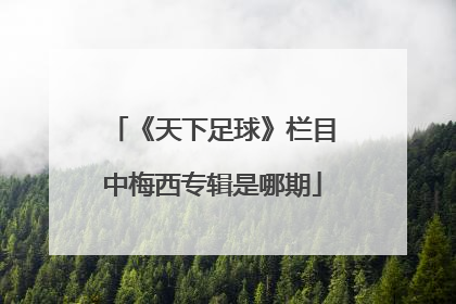 《天下足球》栏目中梅西专辑是哪期