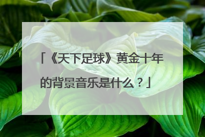 《天下足球》黄金十年的背景音乐是什么？