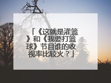 《这就是灌篮》和《我要打篮球》节目谁的收视率比较火？