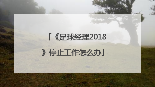 《足球经理2018》停止工作怎么办