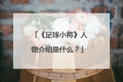 《足球小将》人物介绍是什么？