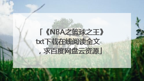 《NBA之篮球之王》txt下载在线阅读全文，求百度网盘云资源