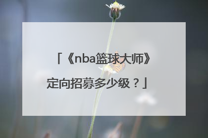 《nba篮球大师》定向招募多少级？