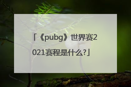 《pubg》世界赛2021赛程是什么?