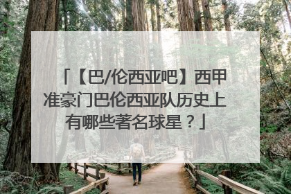 【巴/伦西亚吧】西甲准豪门巴伦西亚队历史上有哪些著名球星？