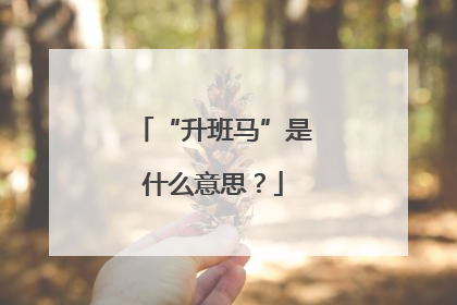 “升班马”是什么意思？