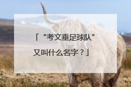 “考文垂足球队”又叫什么名字？