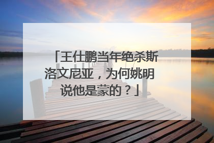 王仕鹏当年绝杀斯洛文尼亚，为何姚明说他是蒙的？