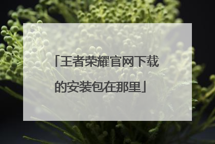 王者荣耀官网下载的安装包在那里