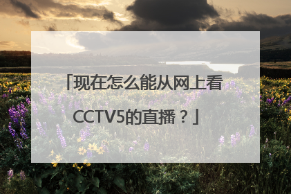 现在怎么能从网上看CCTV5的直播？