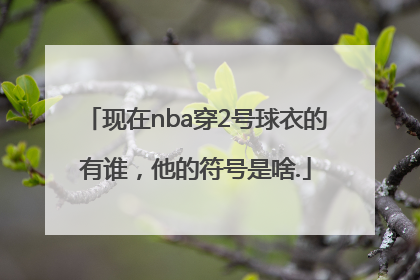 现在nba穿2号球衣的有谁，他的符号是啥.