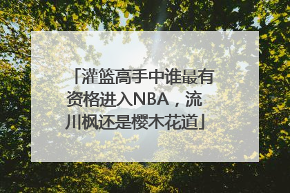 灌篮高手中谁最有资格进入NBA，流川枫还是樱木花道