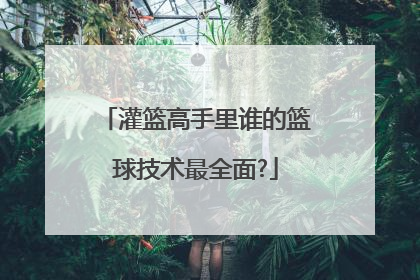 灌篮高手里谁的篮球技术最全面?