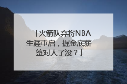 火箭队弃将NBA生涯重启，掘金底薪签对人了没？