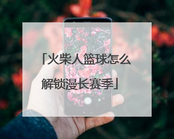 火柴人篮球怎么解锁漫长赛季