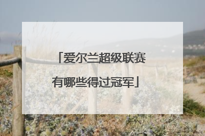 爱尔兰超级联赛有哪些得过冠军