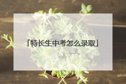 特长生中考怎么录取