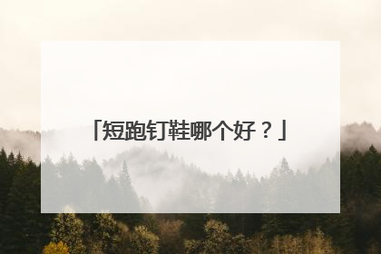 短跑钉鞋哪个好？