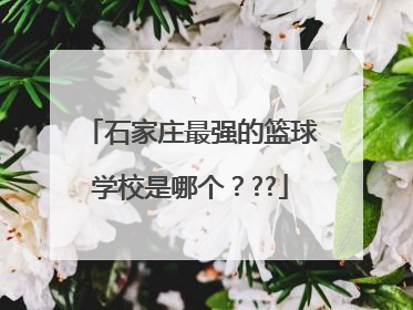 石家庄最强的篮球学校是哪个？??