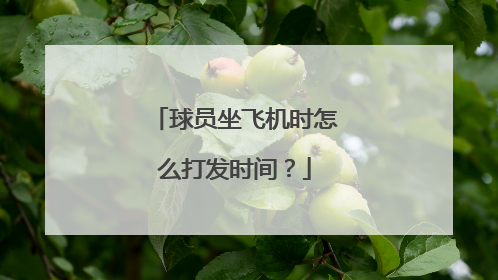 球员坐飞机时怎么打发时间？