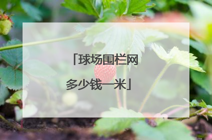 球场围栏网多少钱一米