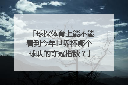 球探体育上能不能看到今年世界杯哪个球队的夺冠指数？