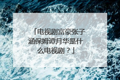 电视剧富豪张子涵保姆谭月华是什么电视剧？