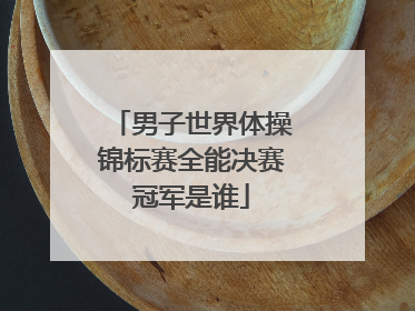 男子世界体操锦标赛全能决赛冠军是谁