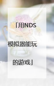 用NDS模拟器能玩的游戏