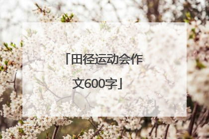 田径运动会作文600字