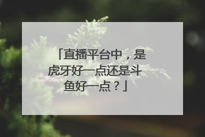 直播平台中，是虎牙好一点还是斗鱼好一点？