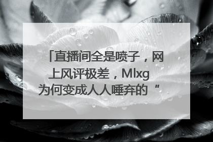 直播间全是喷子，网上风评极差，Mlxg为何变成人人唾弃的“贵族打野”？