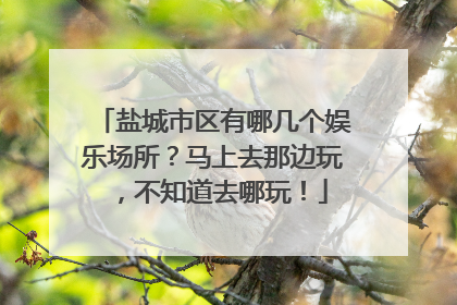 盐城市区有哪几个娱乐场所？马上去那边玩，不知道去哪玩！