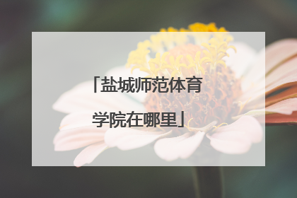 盐城师范体育学院在哪里