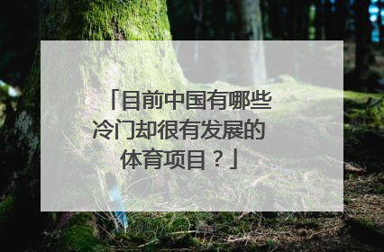 目前中国有哪些冷门却很有发展的体育项目？