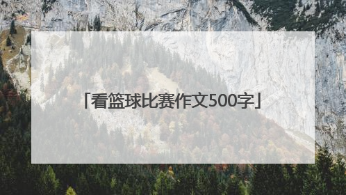 「看篮球比赛作文500字」篮球比赛作文500字优秀范文