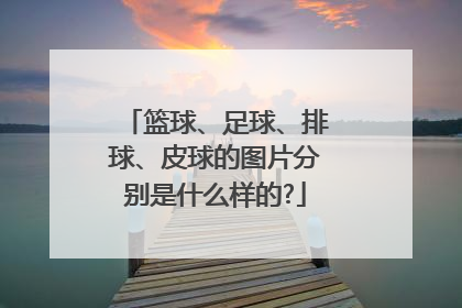 篮球、足球、排球、皮球的图片分别是什么样的?