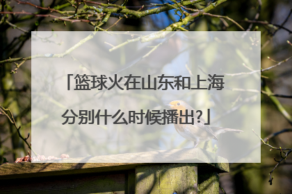 篮球火在山东和上海分别什么时候播出?