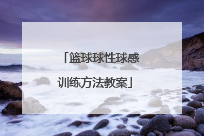 「篮球球性球感训练方法教案」小学篮球球性球感训练方法