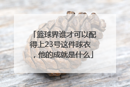 篮球界谁才可以配得上23号这件球衣，他的成就是什么