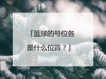 篮球的号位各是什么位置？