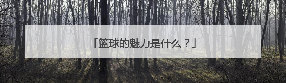 篮球的魅力是什么？