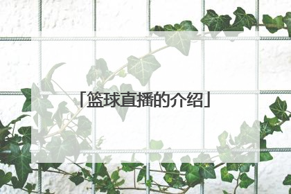 篮球直播的介绍