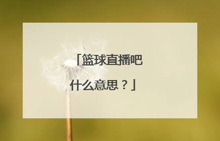 篮球直播吧什么意思？