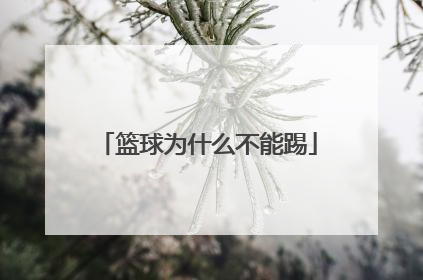 篮球为什么不能踢