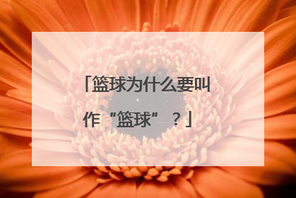 篮球为什么要叫作“篮球”？