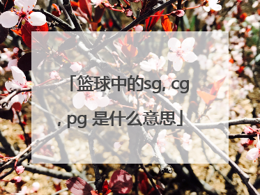 篮球中的sg, cg, pg 是什么意思