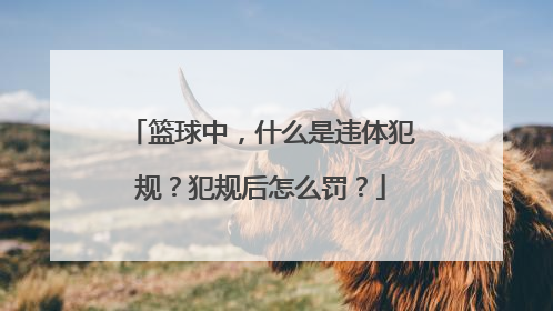 篮球中，什么是违体犯规？犯规后怎么罚？