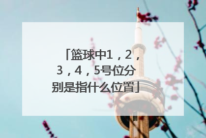 篮球中1，2，3，4，5号位分别是指什么位置